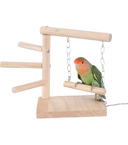 Amazon | バードアスレチック 鳥アスレチック 止まり木 パーチ